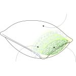 Naturtex Tulipán háromrétegű félpárna 50x70 cm