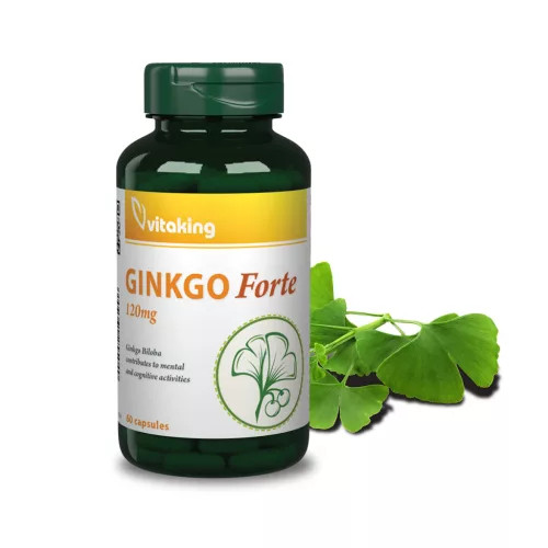 Vitaking Ginkgo Biloba Forte 120mg 60db