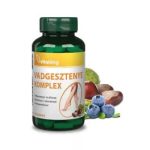 Vitaking Vadgesztenye komplex 60 db