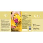 GAL Bio-Curcumin+ Forte  300mg