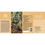 GAL Kurkuma-komplex 60db 
