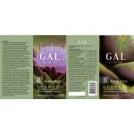 GAL B-komplex 60db 