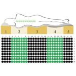 Rottex TR-EX táskarugós matrac 80x200cm